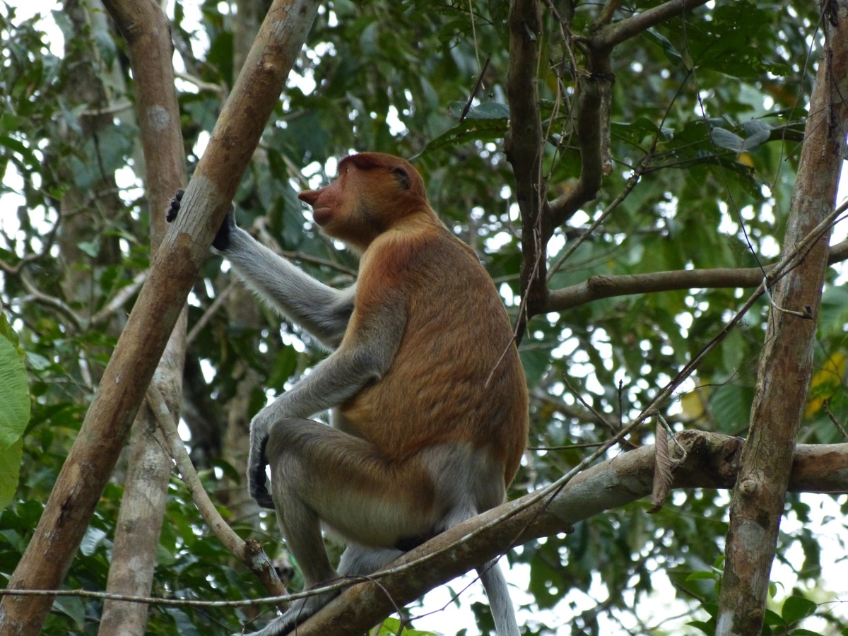 P1040043